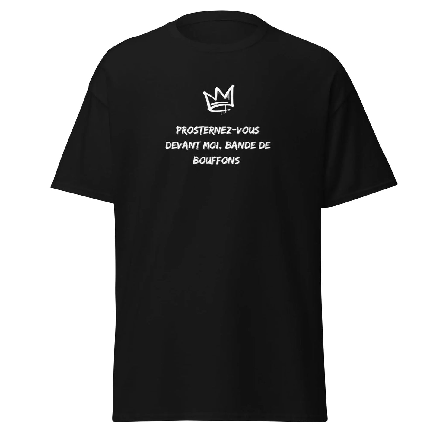 t-shirt message insulte