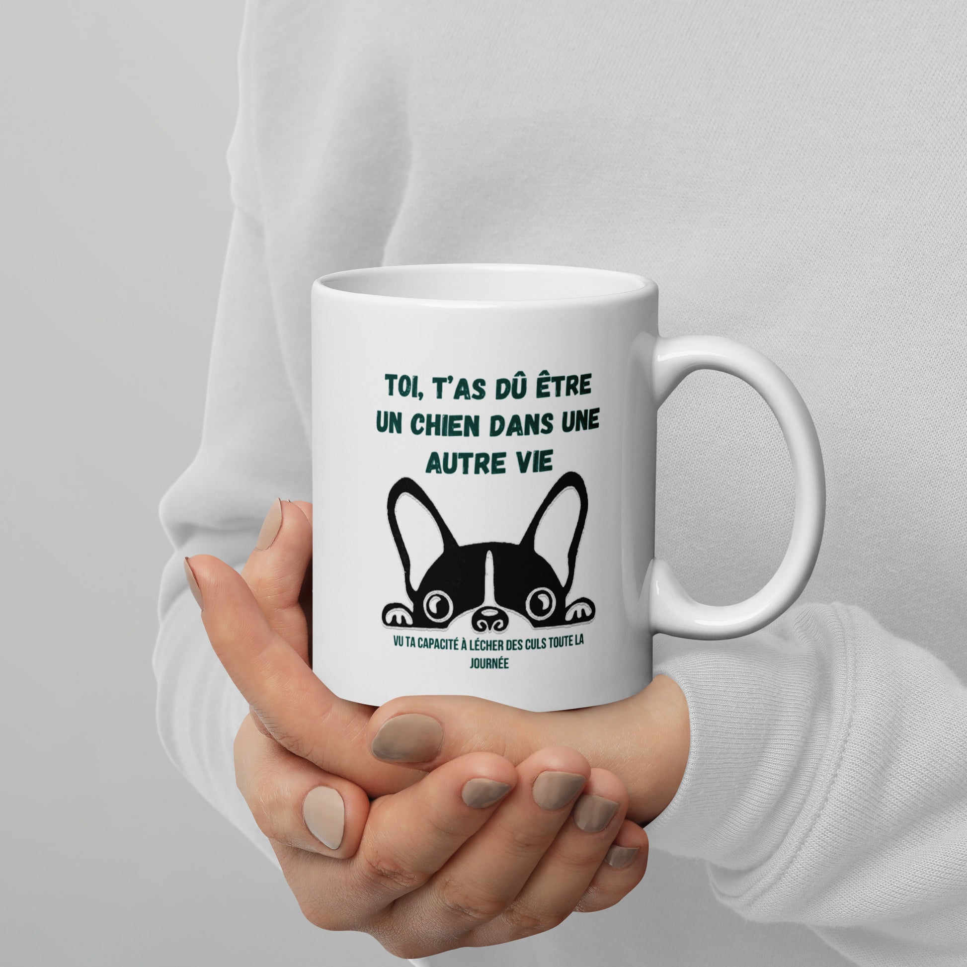 Mug drole pour les amateurs de sarcasme