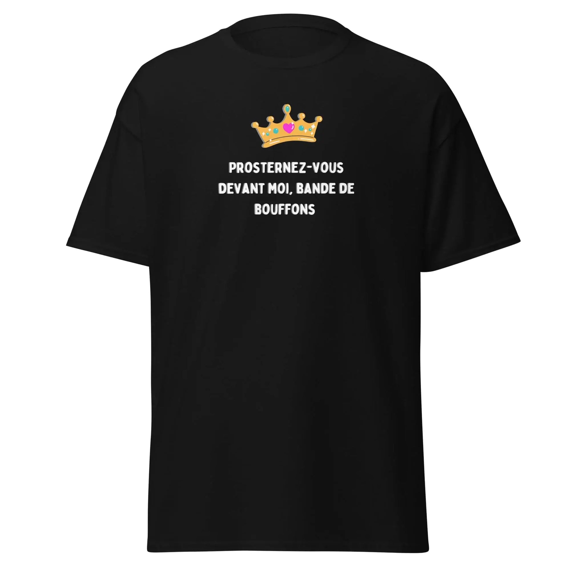 t-shirt message insulte et drôle