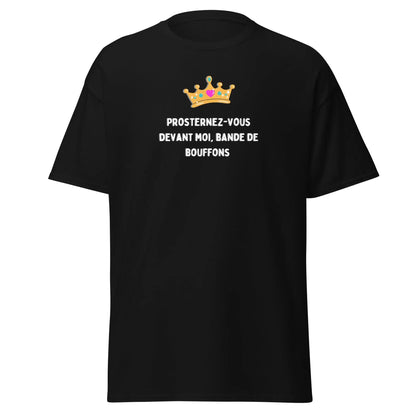 t-shirt message insulte et drôle