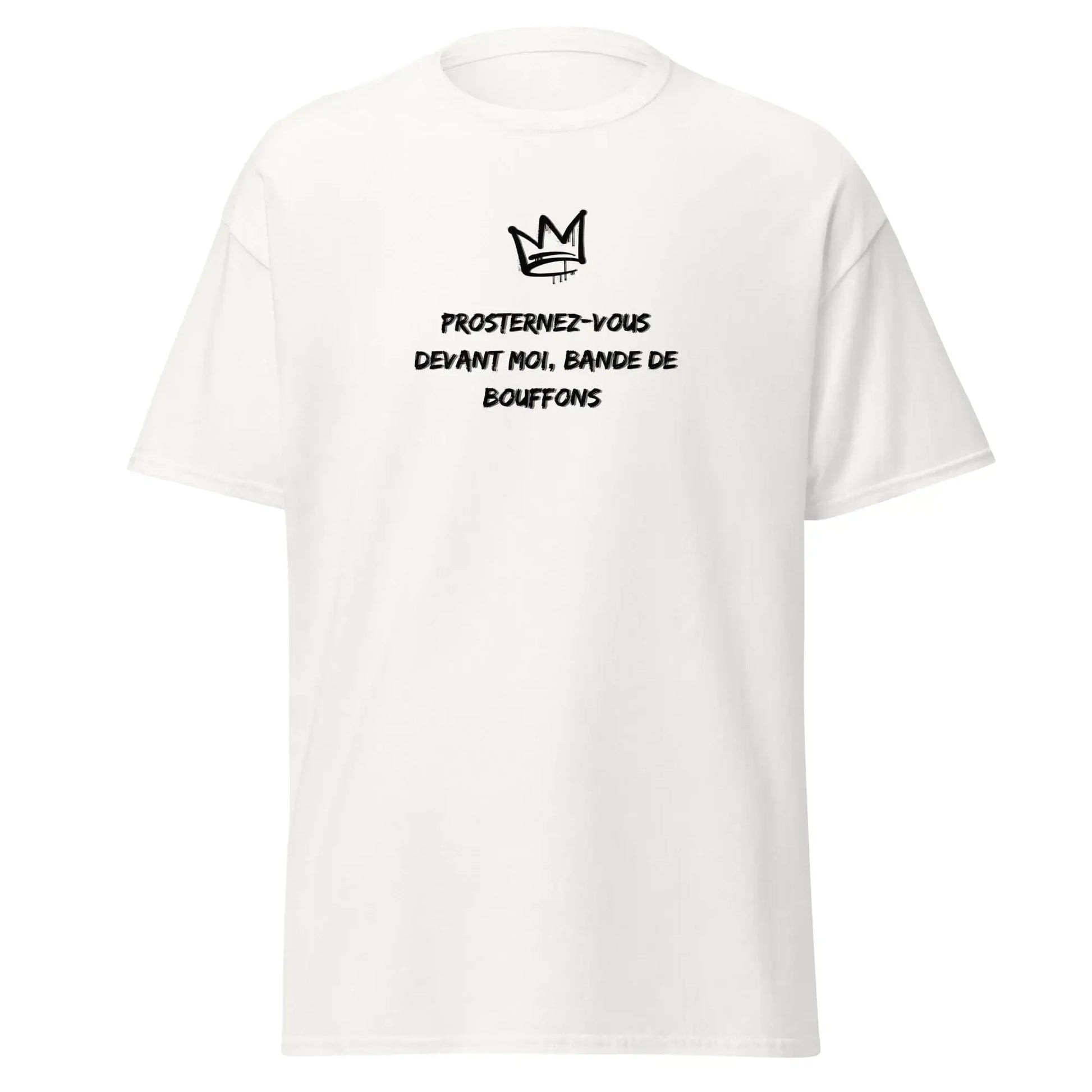 t-shirt message insulte